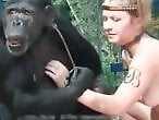 Animal porn videos and ZOO PORN