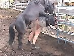 Animal Porn Zilla
