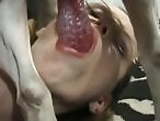 Zoo porno and bestiality