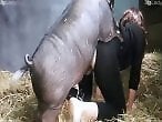Animal porn and zoo sex