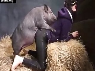Zoo Phil