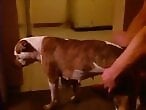HorseFuckGirls