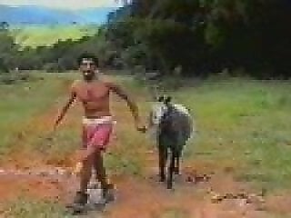 Free bestiality and zoophilia porn