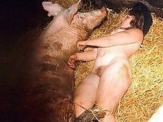 ZOO Porn and bestiality tube