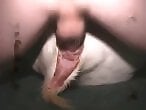 Zoo Phil