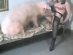 Horse Porn Tube
