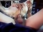 Animal porn and zoo sex