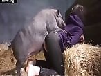Zoo porn and zoo sex video