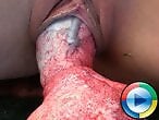 Animal porn and bestiality