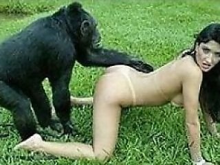 Sex With Monkey