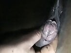 Zoo Porn