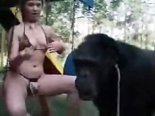 BeastZone