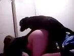 Animal porn and bestiality