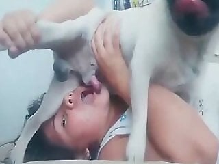 Animal porn and bestiality