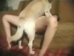 Woman animal porn