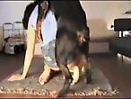 Zoophilia porn and animal sex