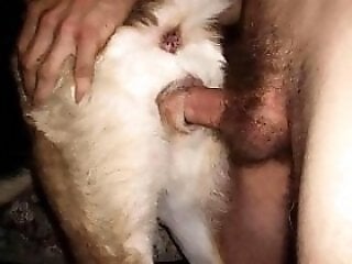 ZOO Porn and bestiality tube
