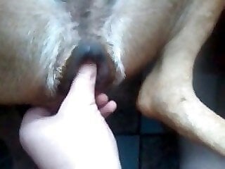Real Zoo Sex