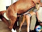 Real Zoo Sex