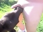 ZOO Porn and bestiality tube