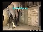 Zoo Phil