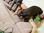 ZOO Porn and bestiality tube